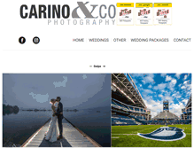 Tablet Screenshot of carinoandco.com